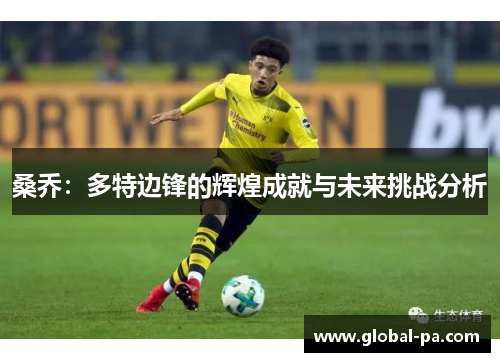 桑乔：多特边锋的辉煌成就与未来挑战分析