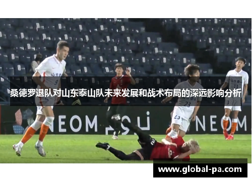桑德罗退队对山东泰山队未来发展和战术布局的深远影响分析