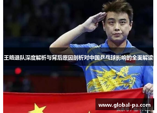 王皓退队深度解析与背后原因剖析对中国乒乓球影响的全面解读 王皓退队深度解析与背后原因剖析对中国乒乓球影响的全面解读