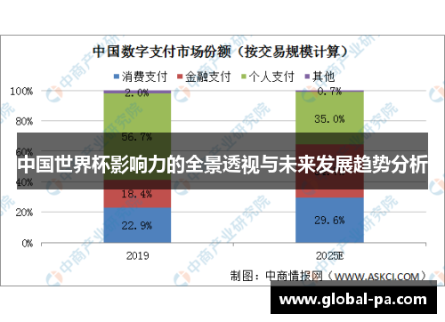 中国世界杯影响力的全景透视与未来发展趋势分析
