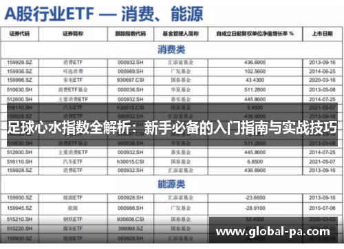 足球心水指数全解析：新手必备的入门指南与实战技巧