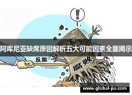 阿库尼亚缺席原因解析五大可能因素全面揭示