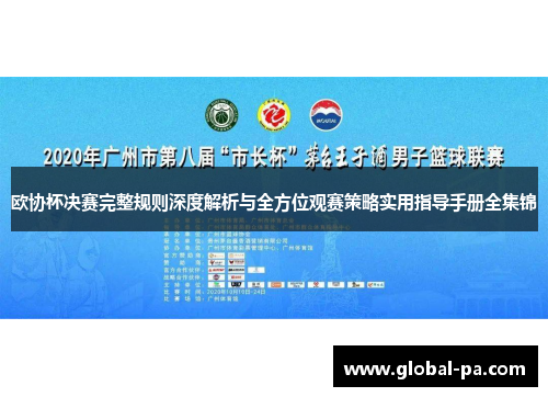 欧协杯决赛完整规则深度解析与全方位观赛策略实用指导手册全集锦