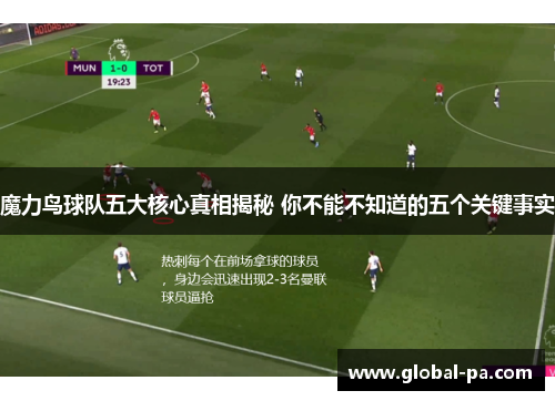 魔力鸟球队五大核心真相揭秘 你不能不知道的五个关键事实